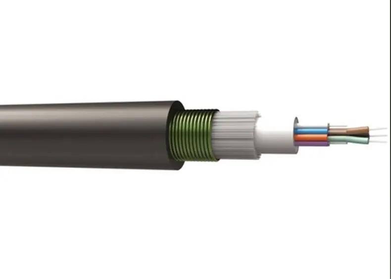 Câble 12 FO 50/125 OM2 structure libre ext armée acier PEHD noir